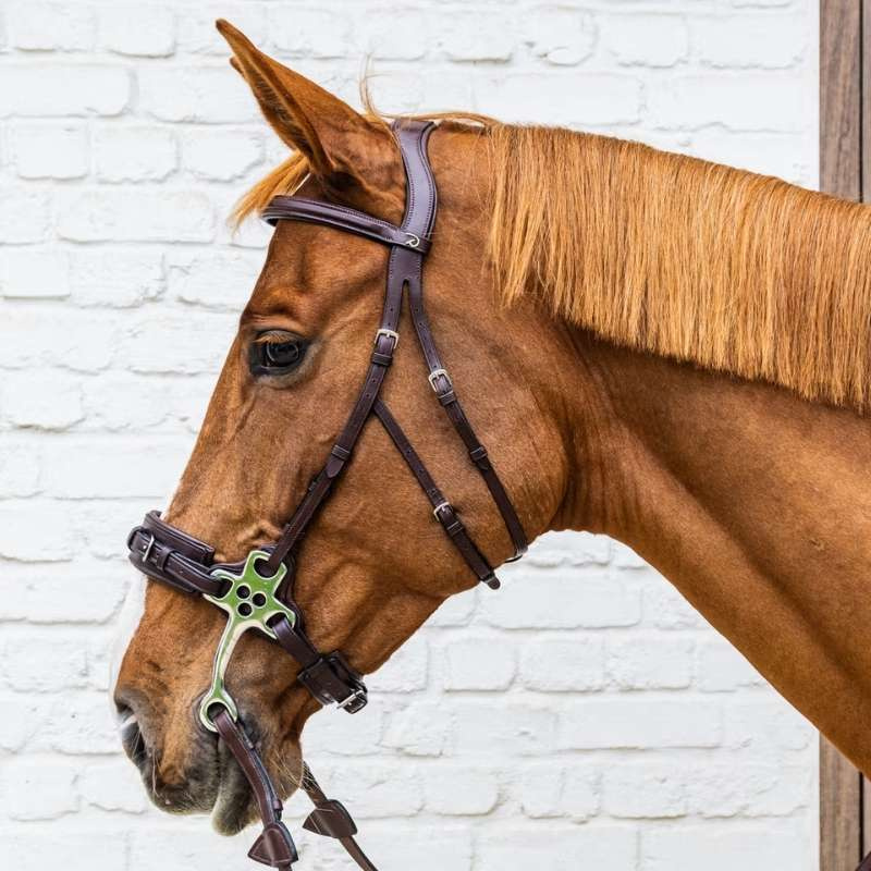 Träns Hackamore NE Brun