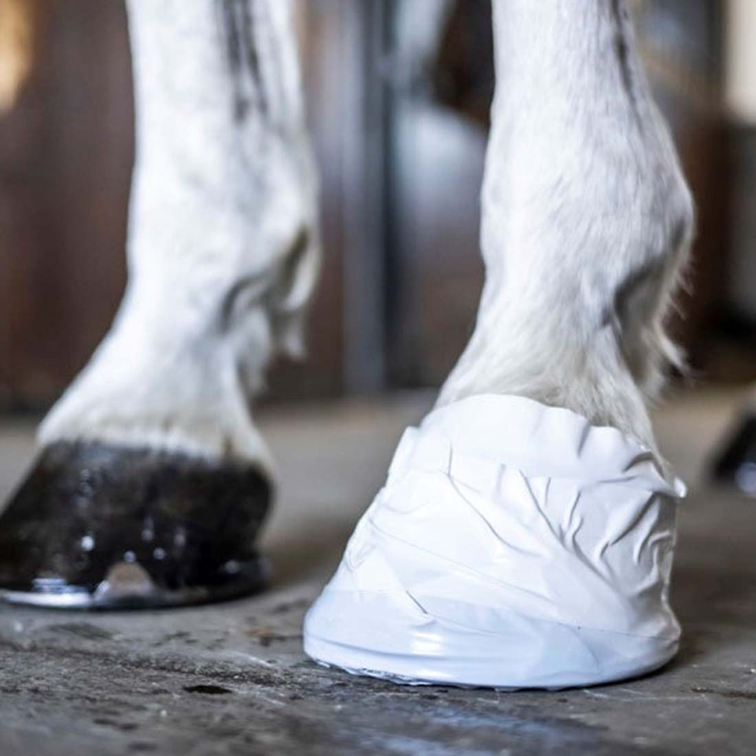 Hov- & Veterinärtejp Vit