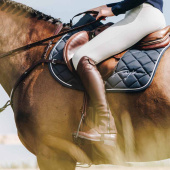 Chaps Classic Comfort Brun Chaps Classic Comfort Brun