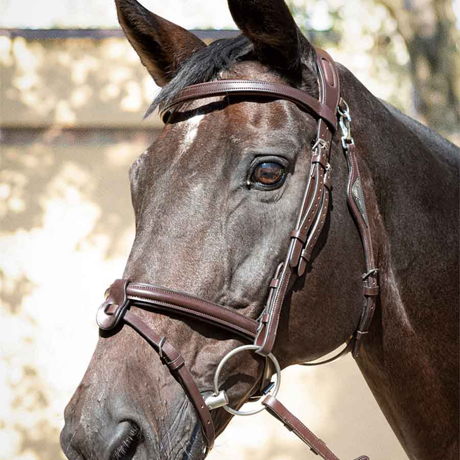 Träns Ready To Ride Brun