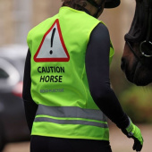 Reflexväst Barn/Junior Caution Horse Gul Reflexväst Barn/Junior Caution Horse Gul