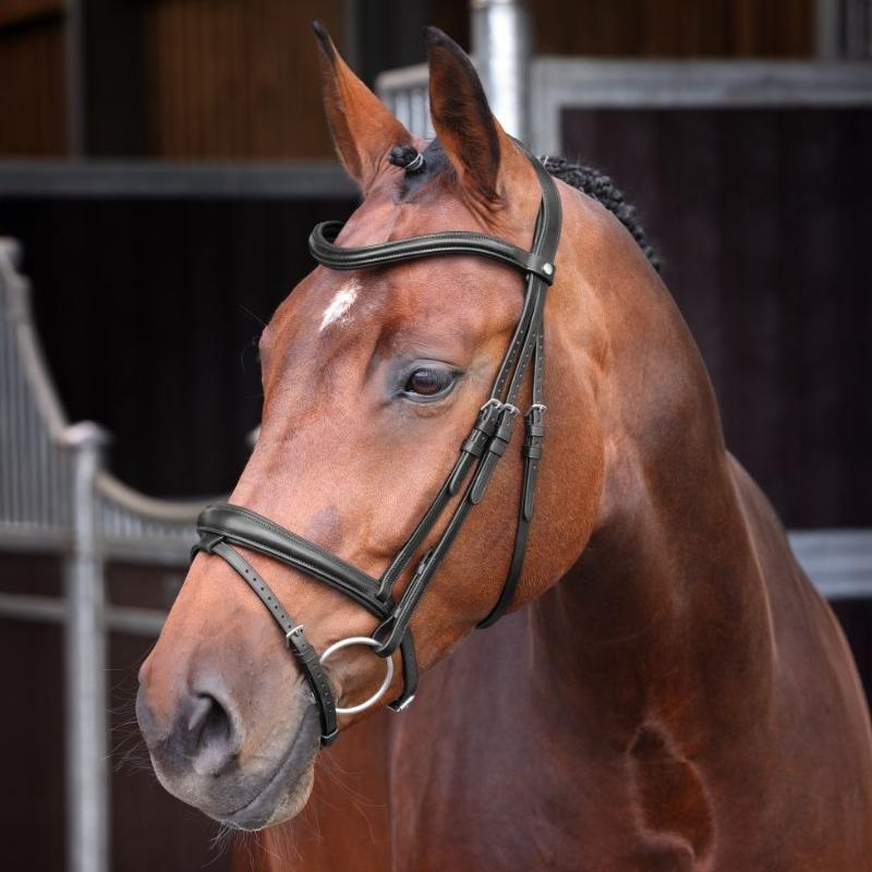 Träns LUSSO Elite Svart