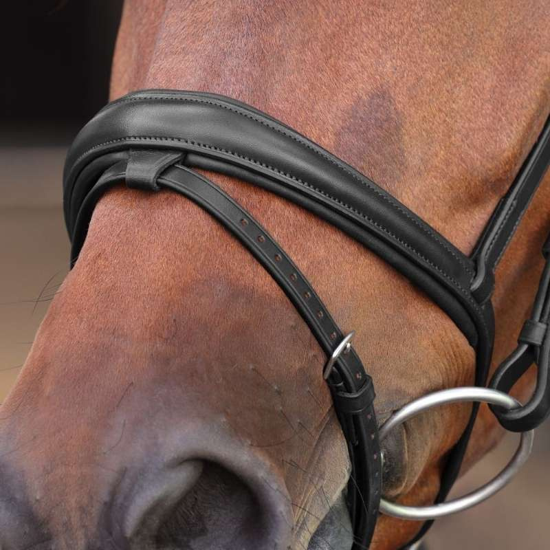 Träns LUSSO Elite Svart
