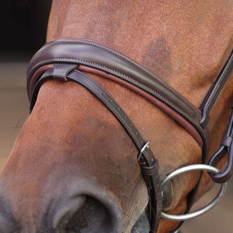 Träns LUSSO Elite Brun