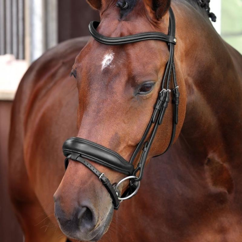 Dressyrträns LUSSO Elite Svart