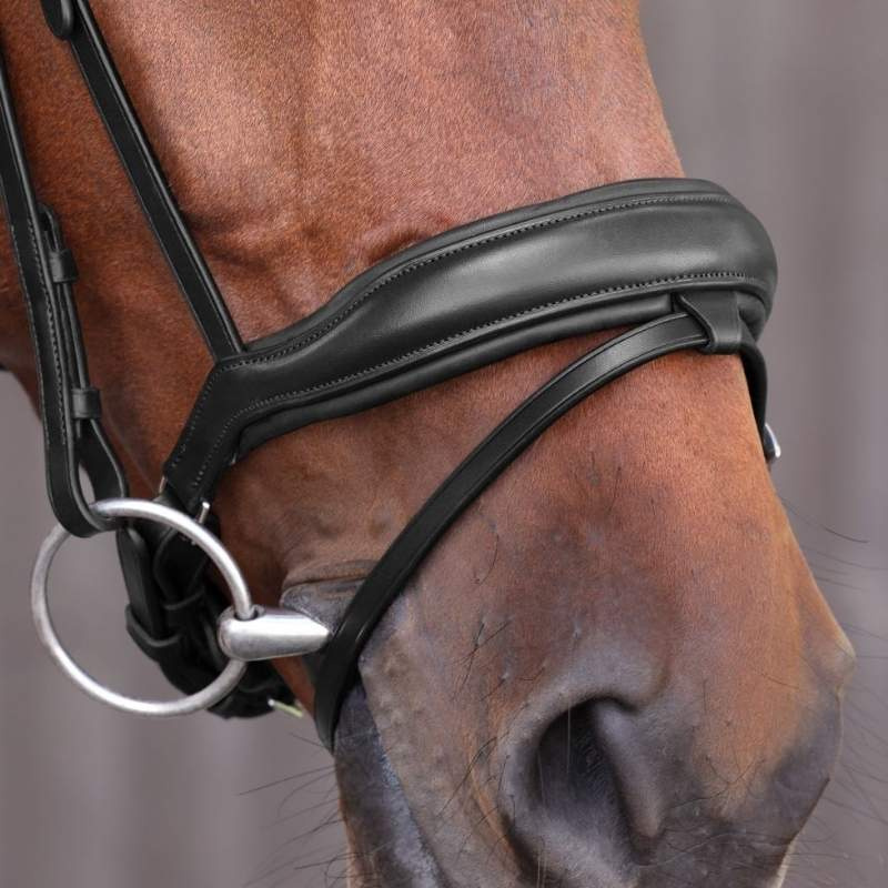 Dressyrträns LUSSO Elite Svart