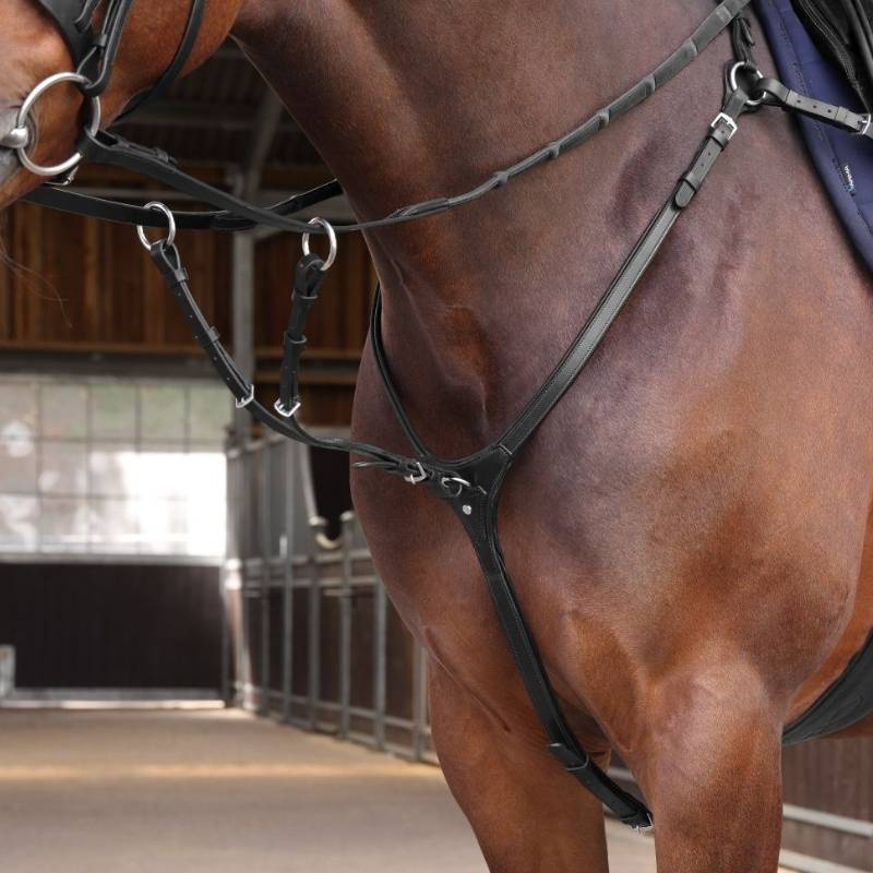 Förbygel med Martingal LUSSO Elite Svart