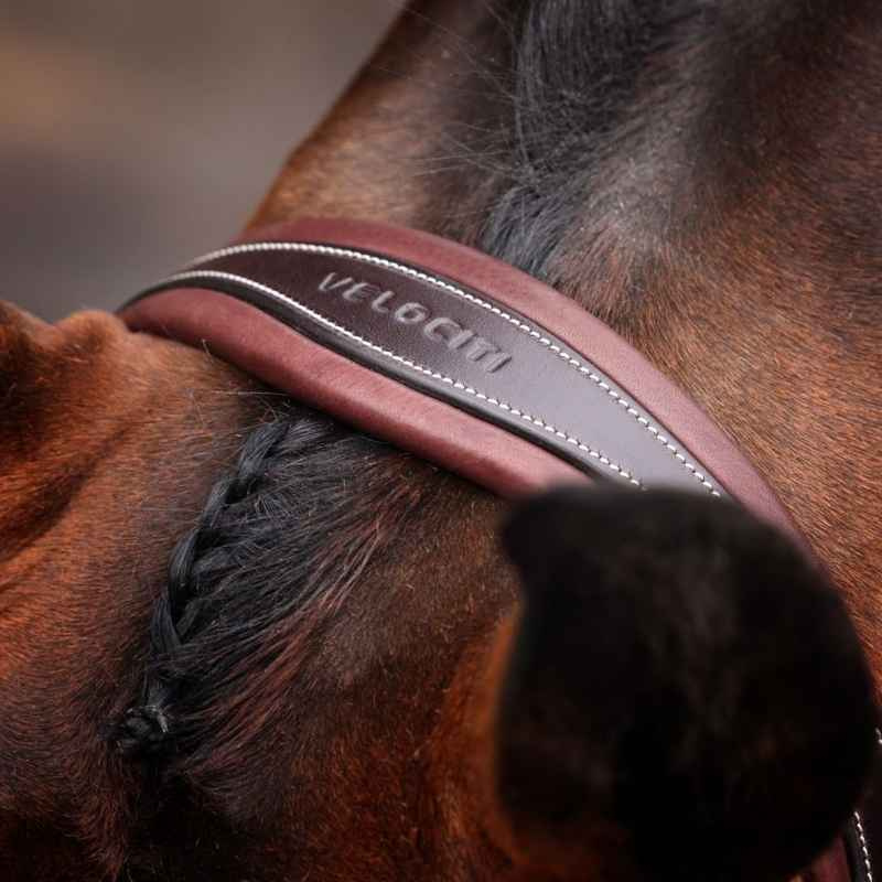Träns Vadderad Nosgrimma LUSSO Opus 180M Brun