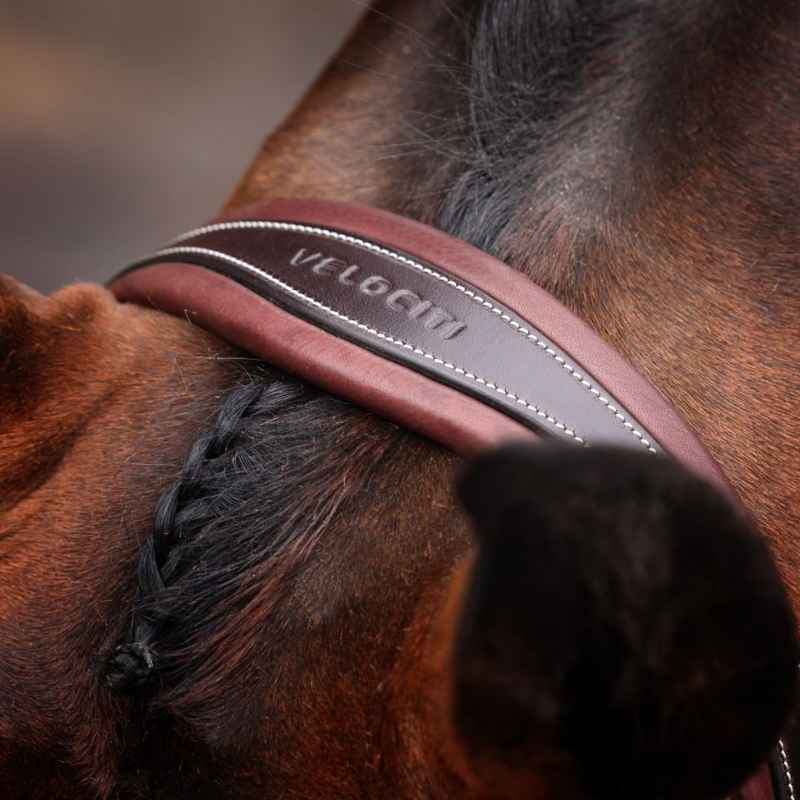 Träns Bred Nosgrimma LUSSO Opus 180M Brun
