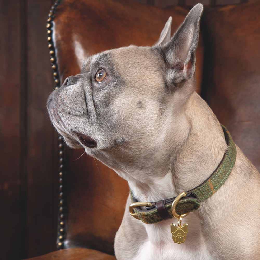 Hundhalsband Tweed/Läder Grön