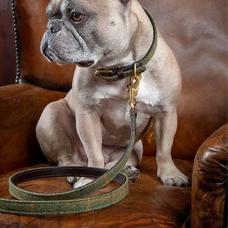 Hundhalsband Tweed/Läder Grön
