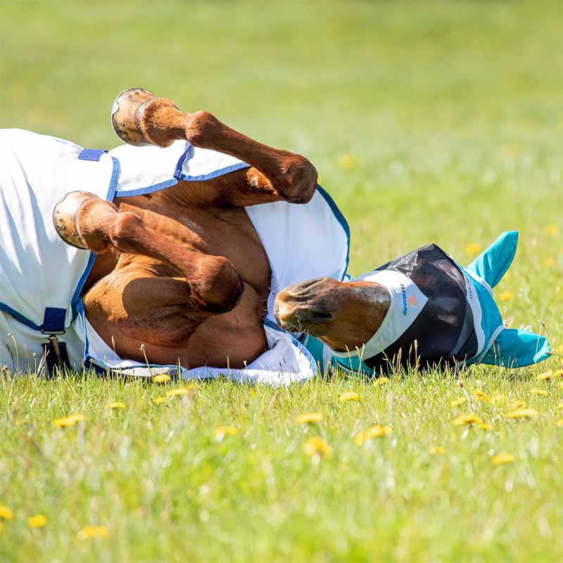 Flugmask Fine Mesh med Öron Teal/Grå