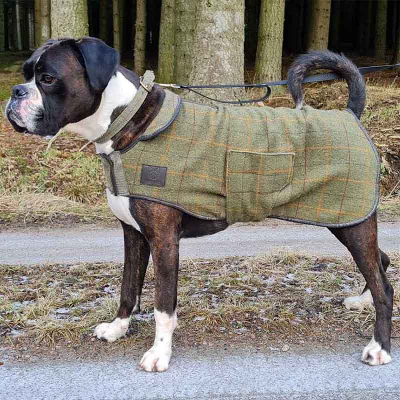 Hundtäcke Tweed Grön