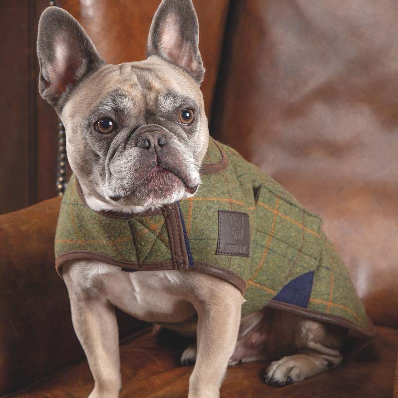 Hundtäcke Tweed Grön