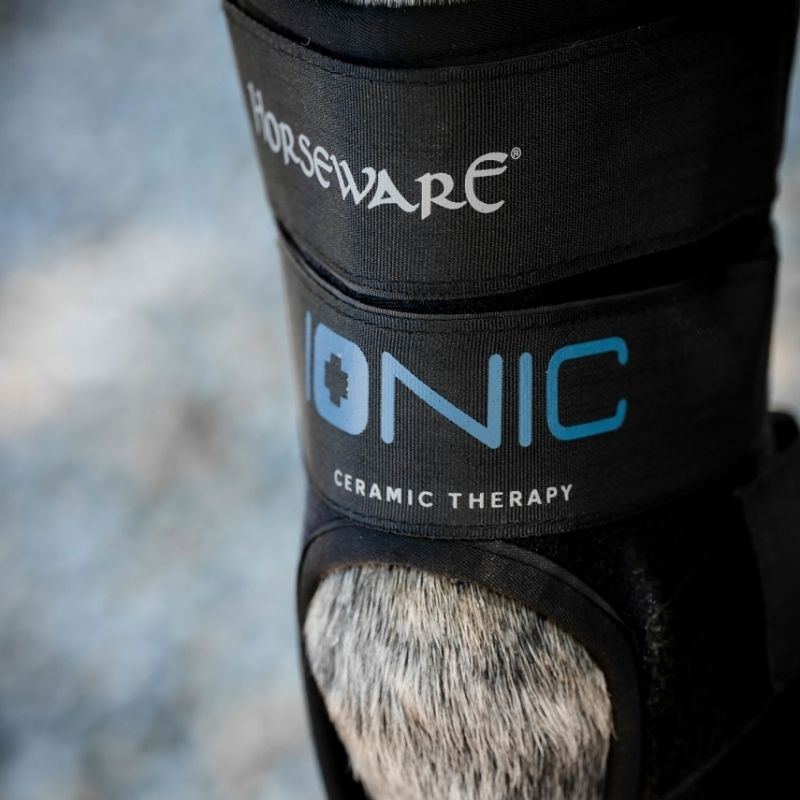 Hasskydd Ionic Therapy 2-pack Svart 