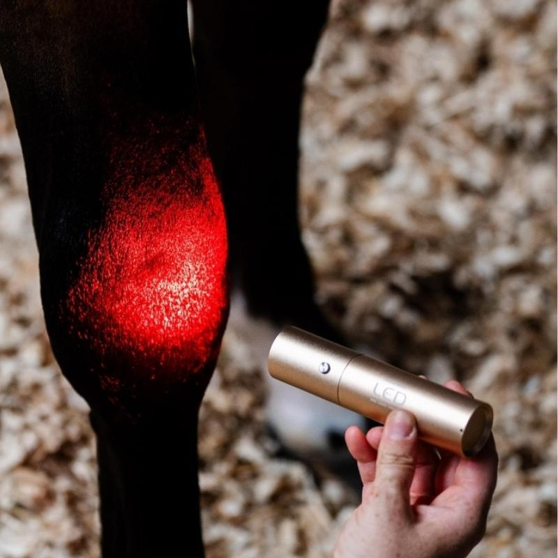 Terapilampa LED Red Light Therapy Wand