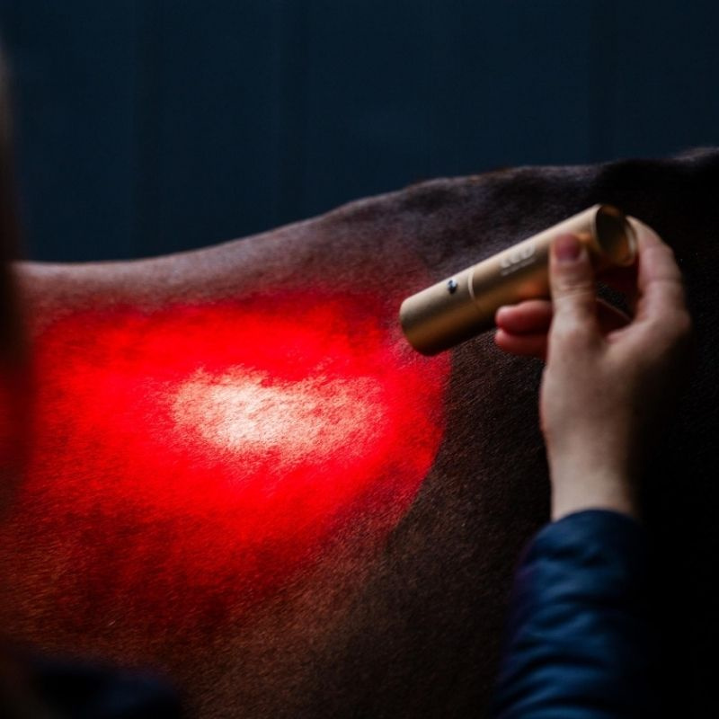 Terapilampa LED Red Light Therapy Wand