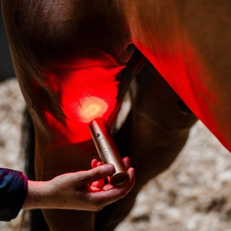 Terapilampa LED Red Light Therapy Wand