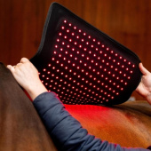 Terapipad LED Red Light Therapy Svart Terapipad LED Red Light Therapy Svart