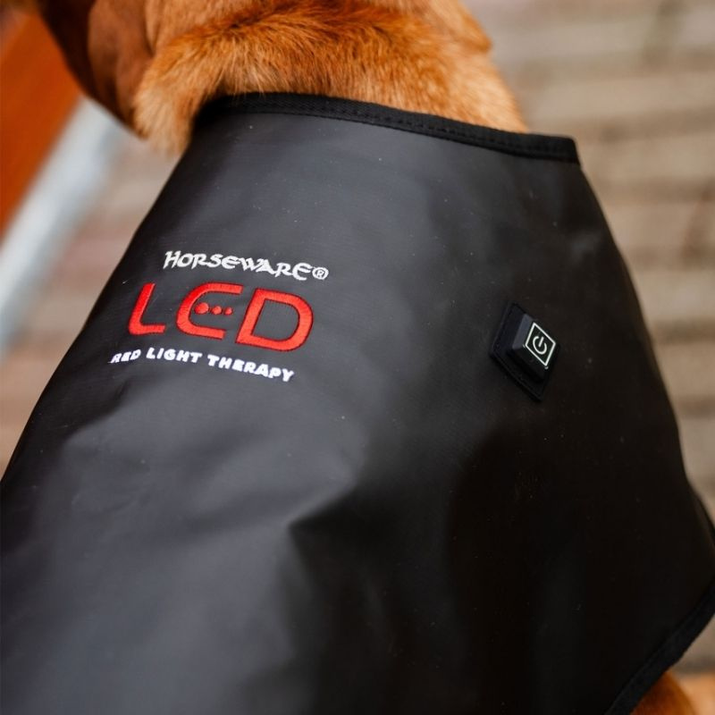 Terapitäcke Hund LED Red Light Therapy Svart 