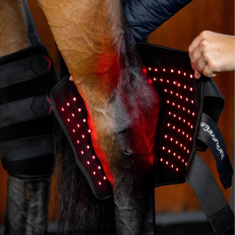 Terapiskydd Hasled LED Red Light Therapy Svart