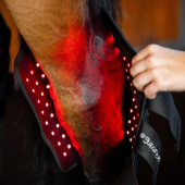 Terapiskydd Hasled LED Red Light Therapy Svart Terapiskydd Hasled LED Red Light Therapy Svart
