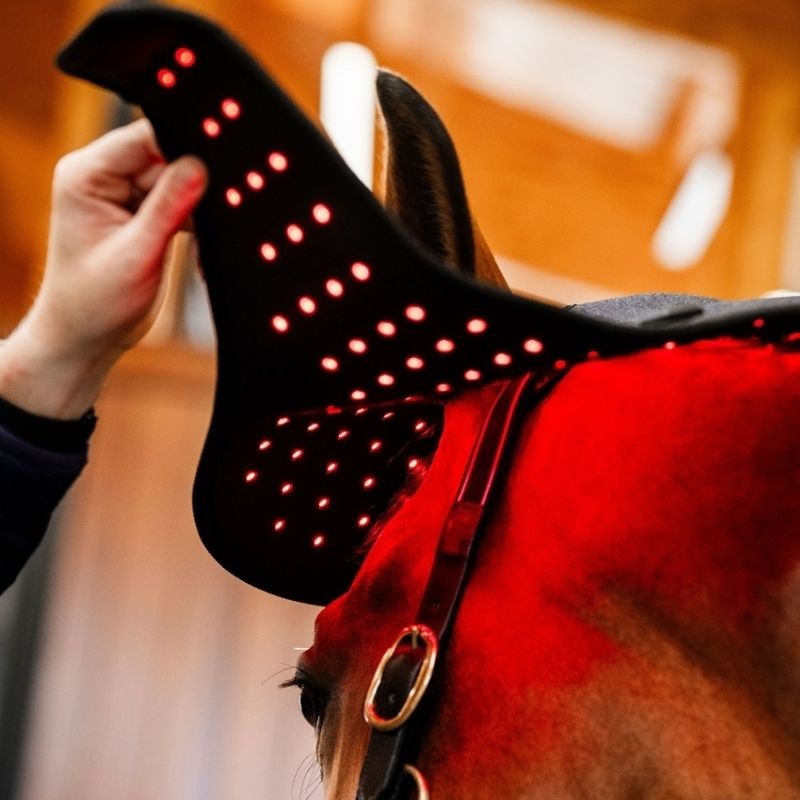 Terapihuva LED Red Light Therapy Svart