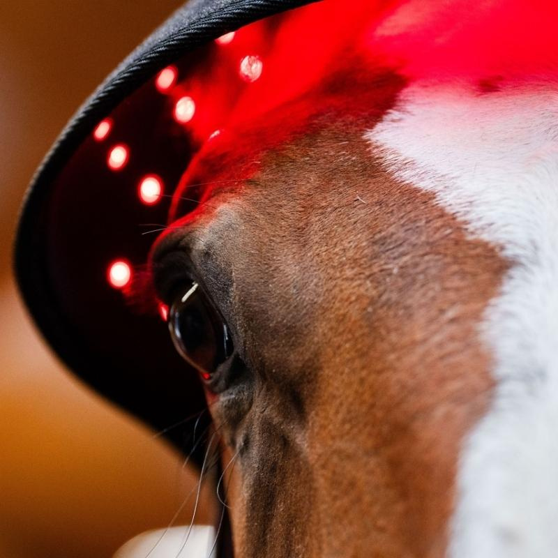 Terapihuva LED Red Light Therapy Svart