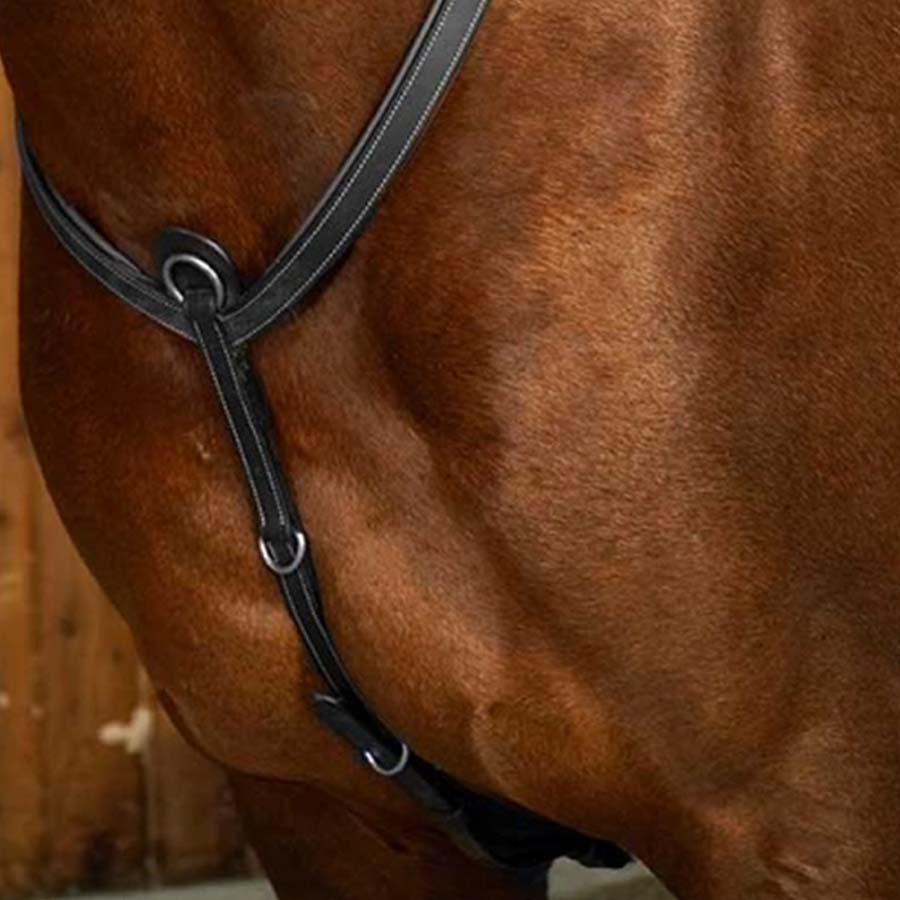 Brösta med brygga WC Svart