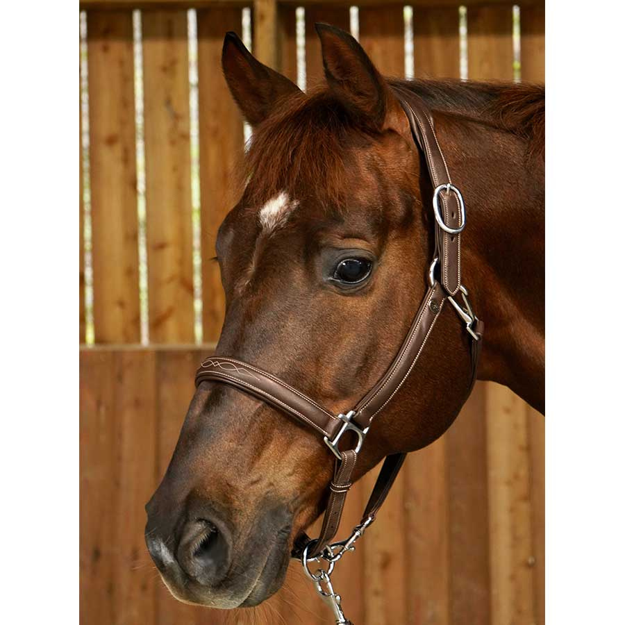 Lädergrimma 2-i-1 WC Brun