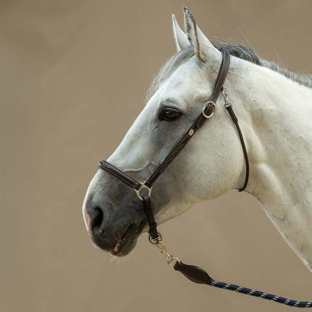 Groominggrimma Leather WBD Brun