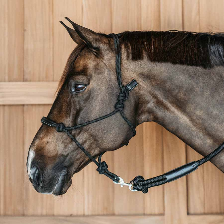 Repgrimma Training WBD Svart