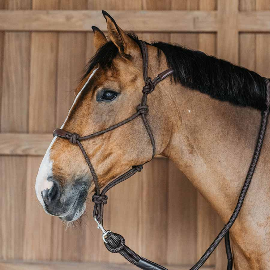 Repgrimma Training WBD Brun