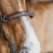 Repgrimma Training WBD Brun Repgrimma Training WBD Brun