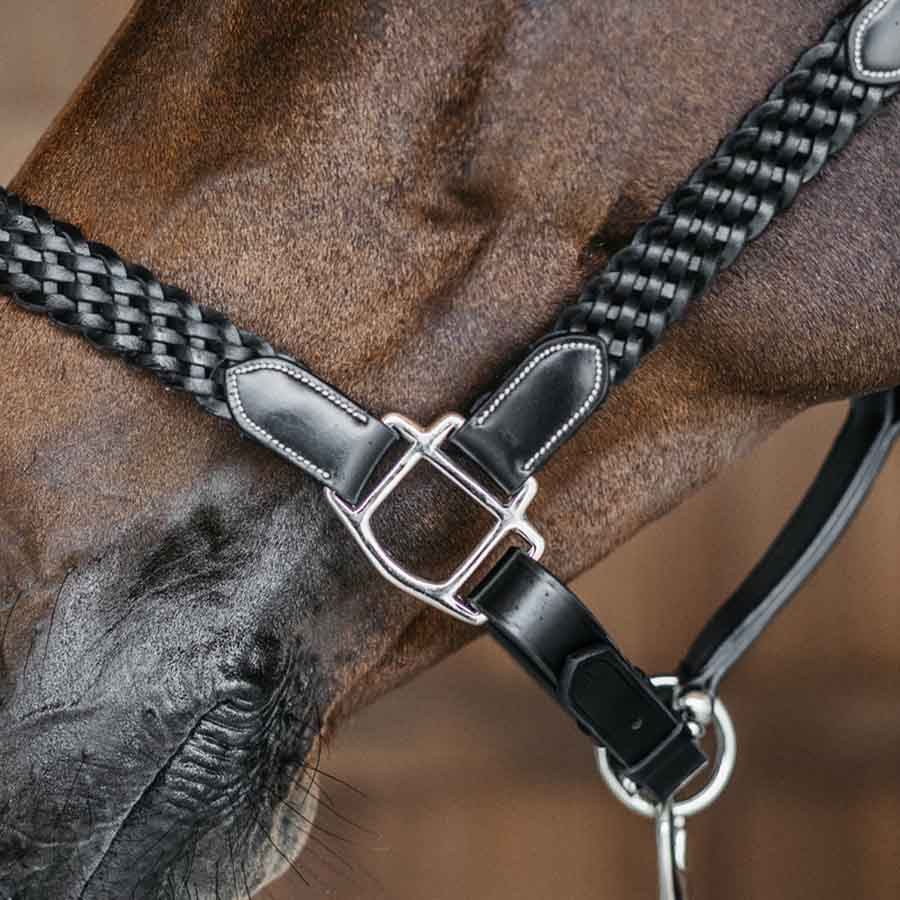 Lädergrimma Plaited WBD Svart