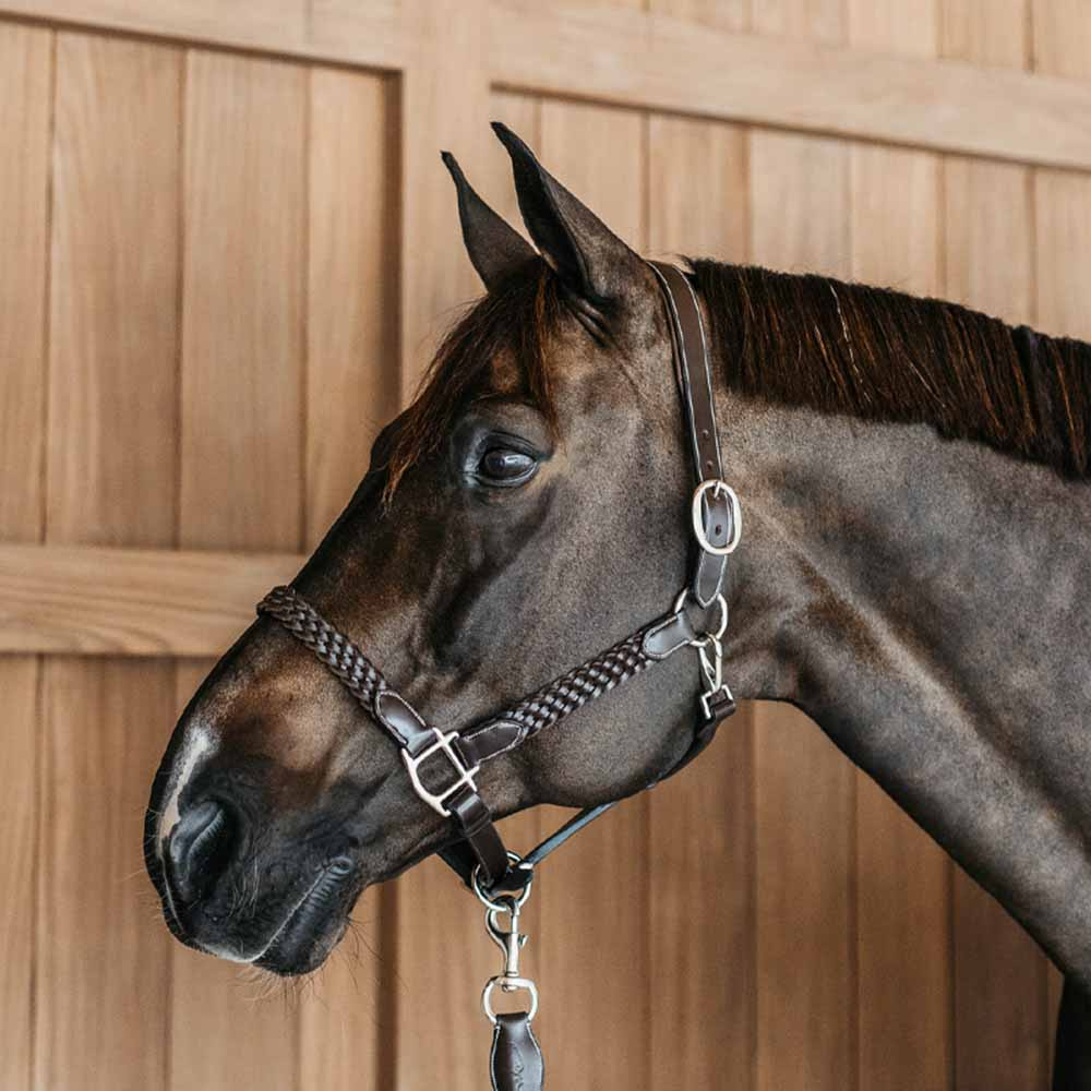 Lädergrimma Plaited WBD Brun