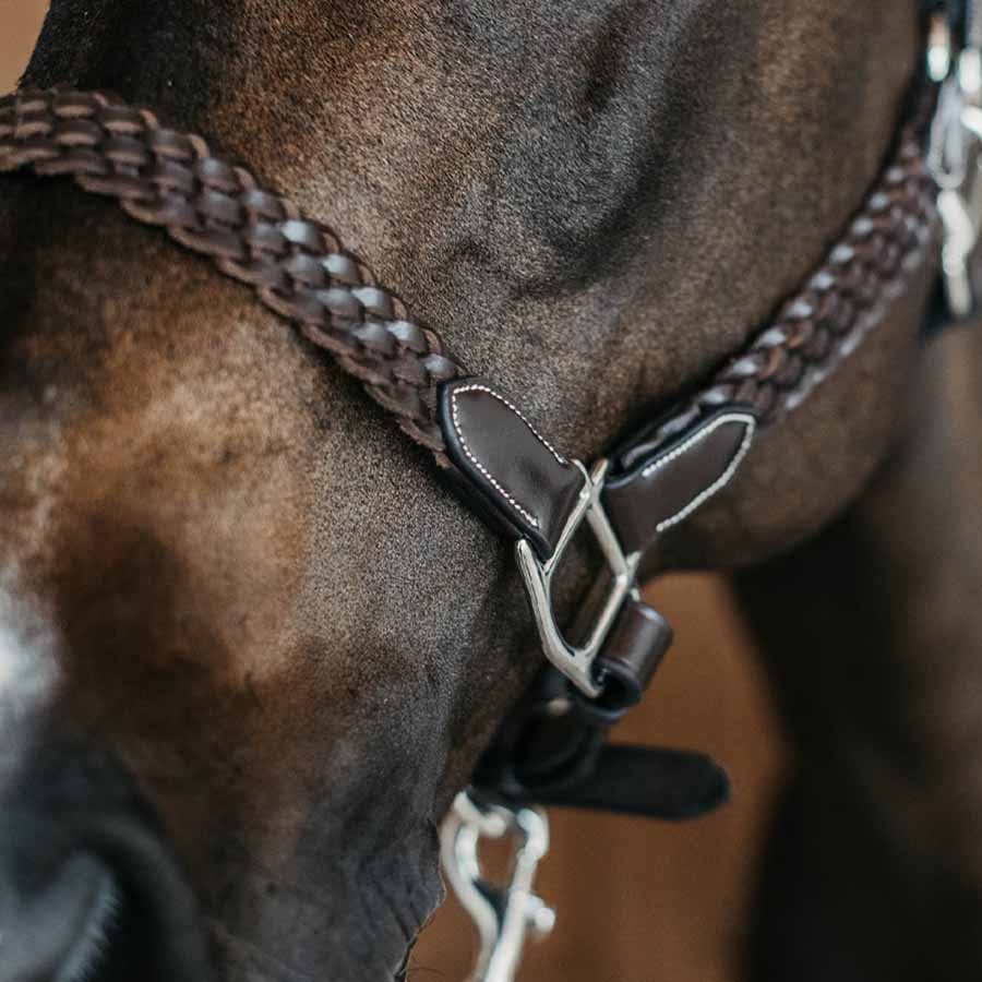 Lädergrimma Plaited WBD Brun