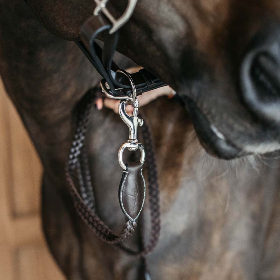 Lädergrimskaft Plaited WBD Brun