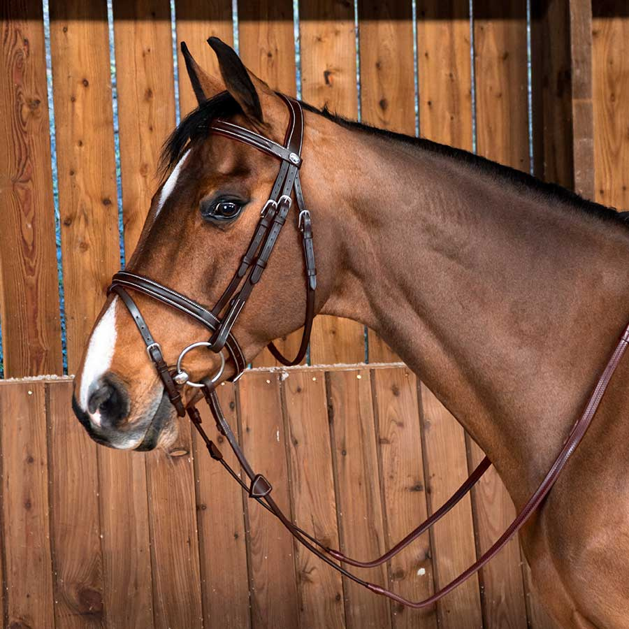 Träns Classic Kombinosgrimma WC Brun