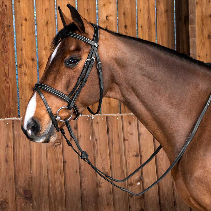 Träns Classic Kombinosgrimma WC Svart