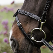 Träns Plaited Training Working Collection Svart Träns Plaited Training Working Collection Svart
