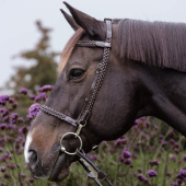 Träns Plaited Training Working Collection Brun Träns Plaited Training Working Collection Brun