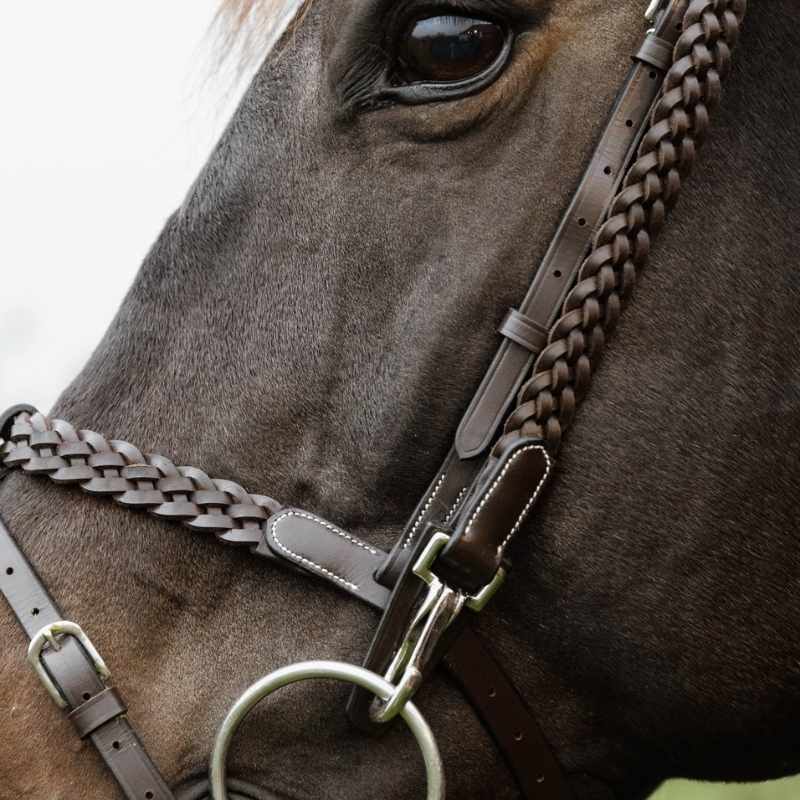 Träns Plaited Training Working Collection Brun